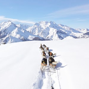 Huskies Escapades place picture