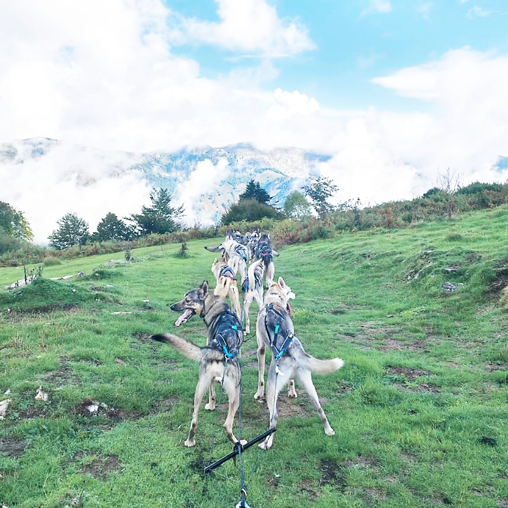 Balade avec des chiens de traineau au col de Liar dans le val d'Azun