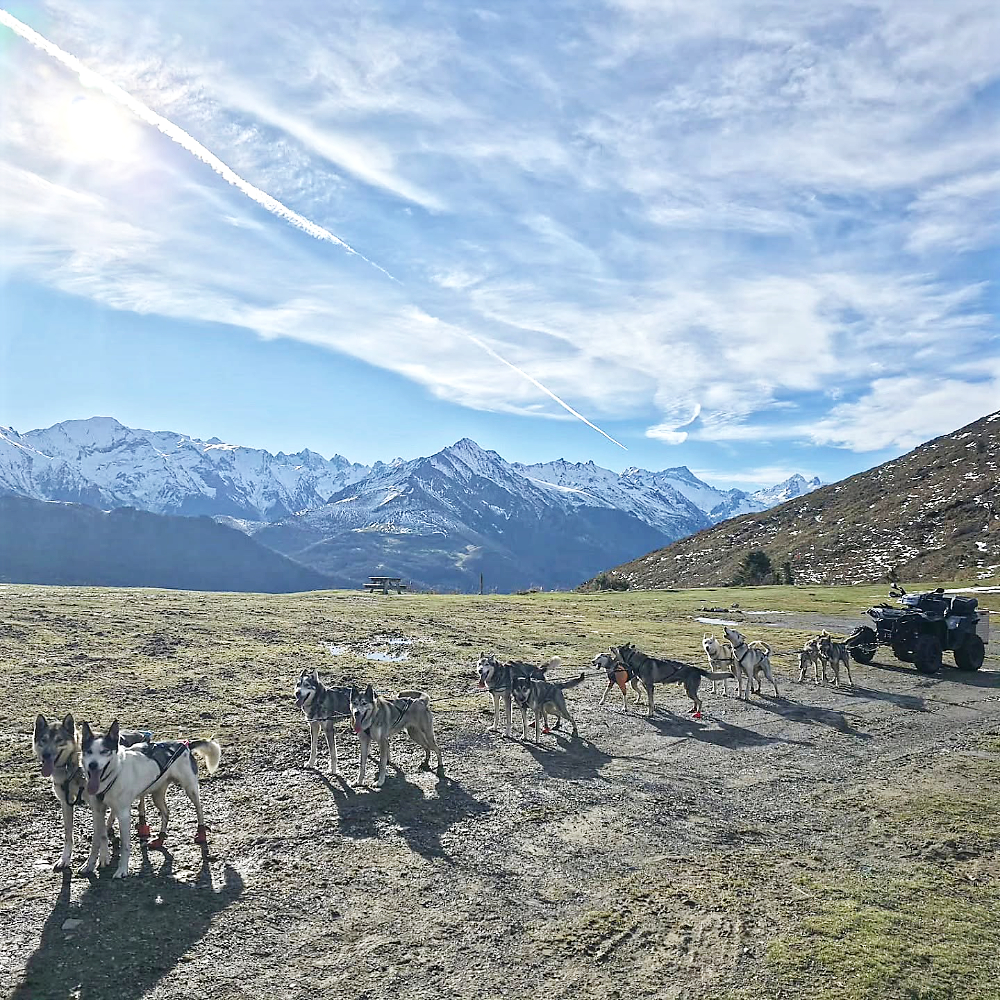 Huskies qui s'entrainent au col de Couret