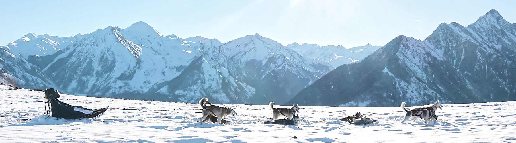 Randonnée en chiens de traineau en vallées de Gavarnie