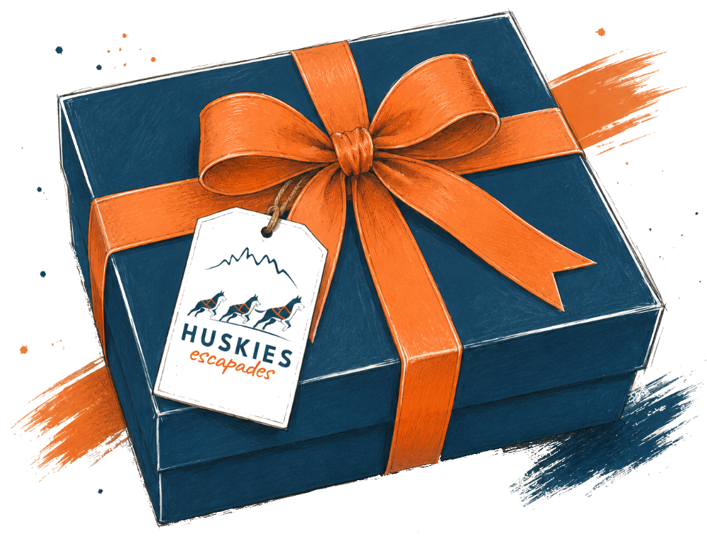 Cartes cadeaux chiens de traineau