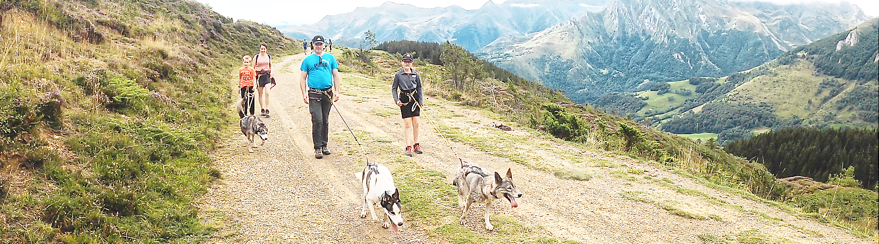 Cani-randonnée en val d'Azun