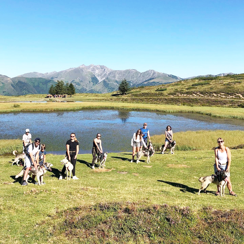 Cani-rando au col du Soulor