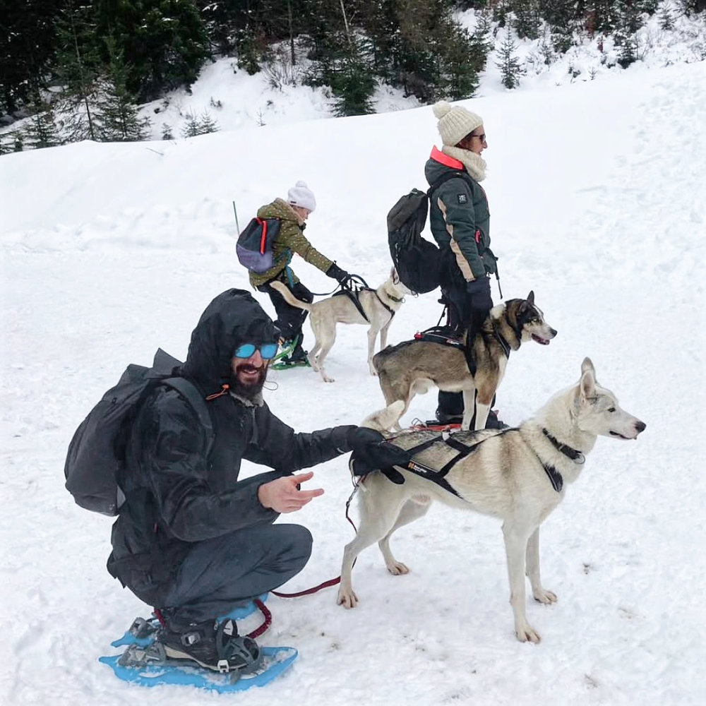 Balade en cani-raquettes en val d'Azun