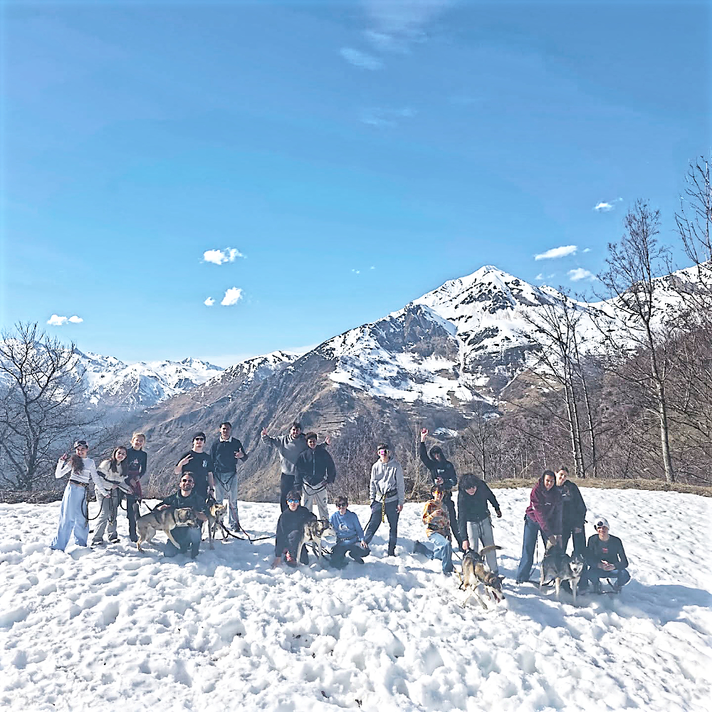 Chiens de traineau pour groupes et collectivités dans les vallées de Gavarnie