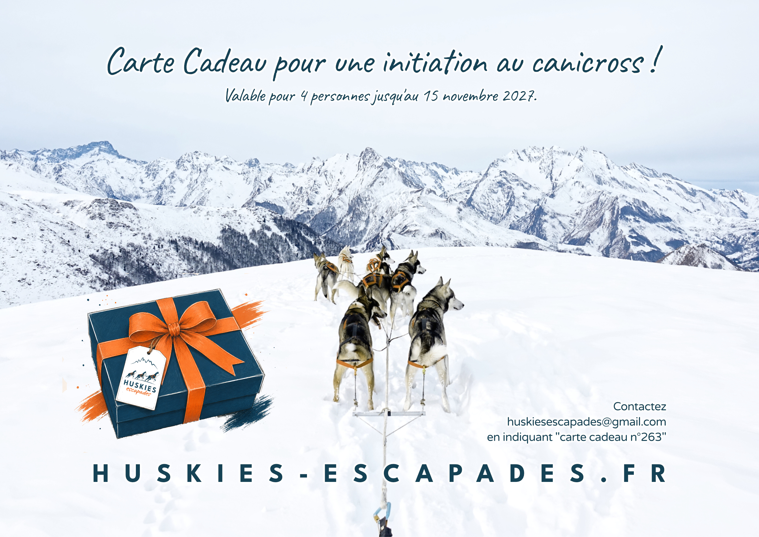 Carte cadeau : offrir une activité chiens de traineau dans les Pyrénées