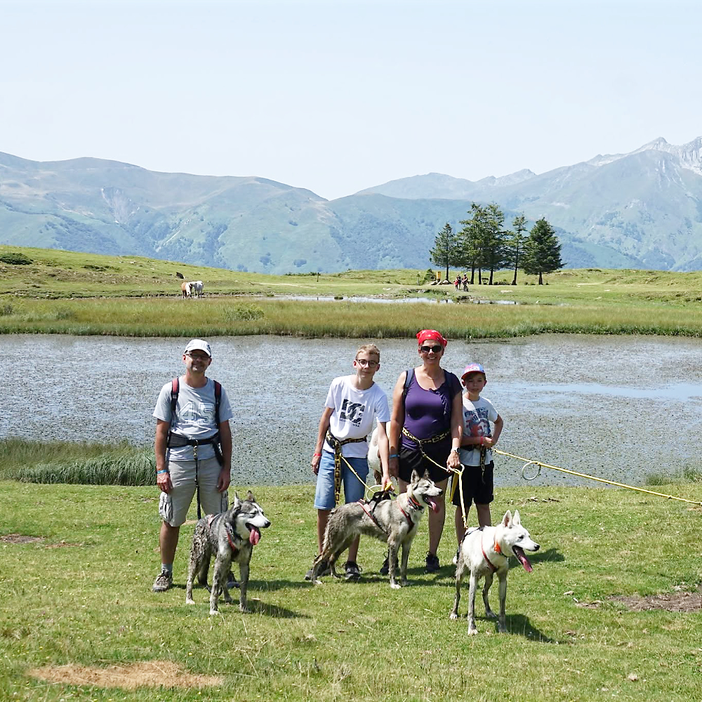 Activités chiens de traineau privatisées au lac de Soum